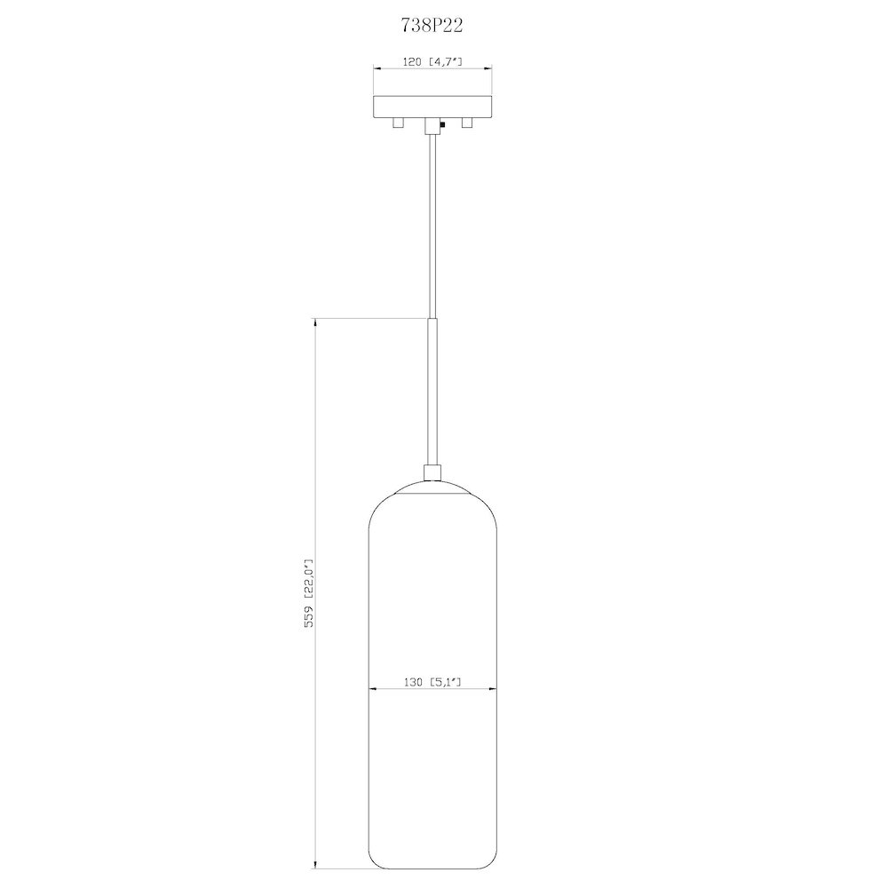 Z-Lite 1 Light Pendant