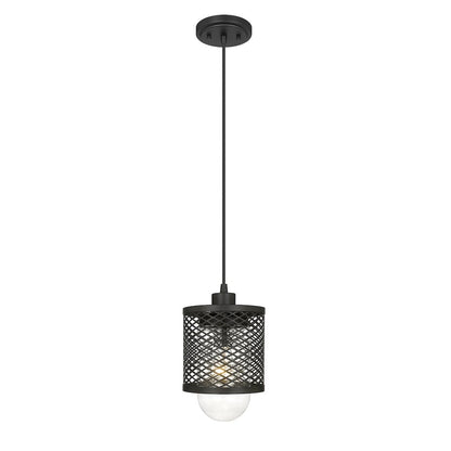 Z-Lite 1 Light Pendant