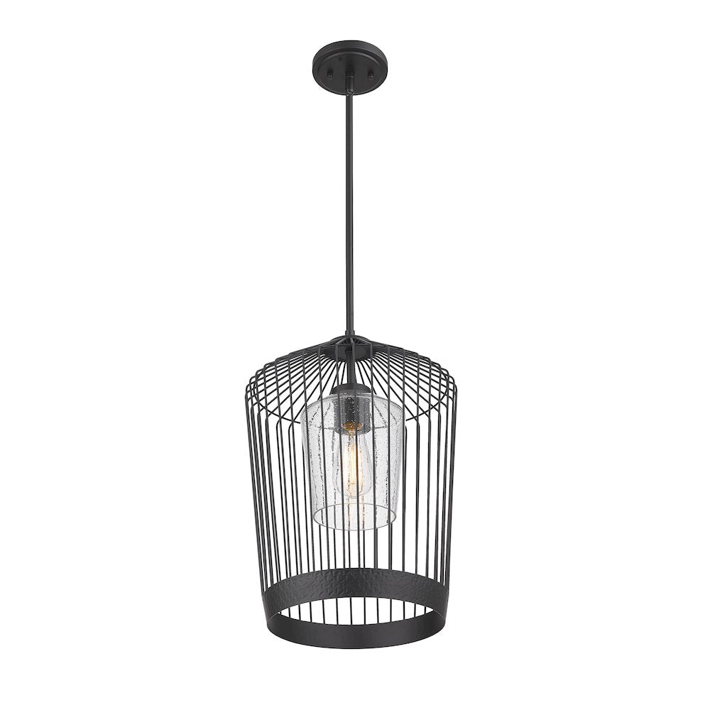 Z-Lite 1 Light Pendant