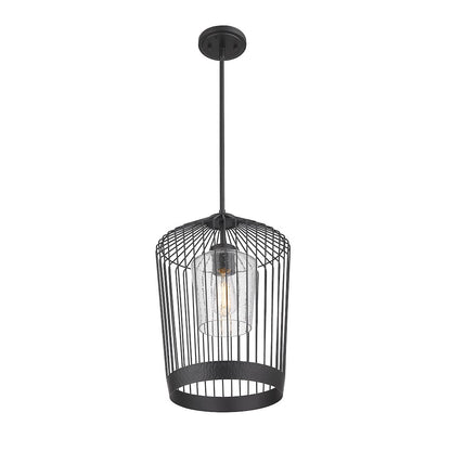 Z-Lite 1 Light Pendant