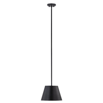 Z-Lite 1 Light Pendant