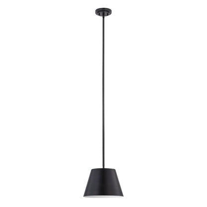 Z-Lite 1 Light Pendant