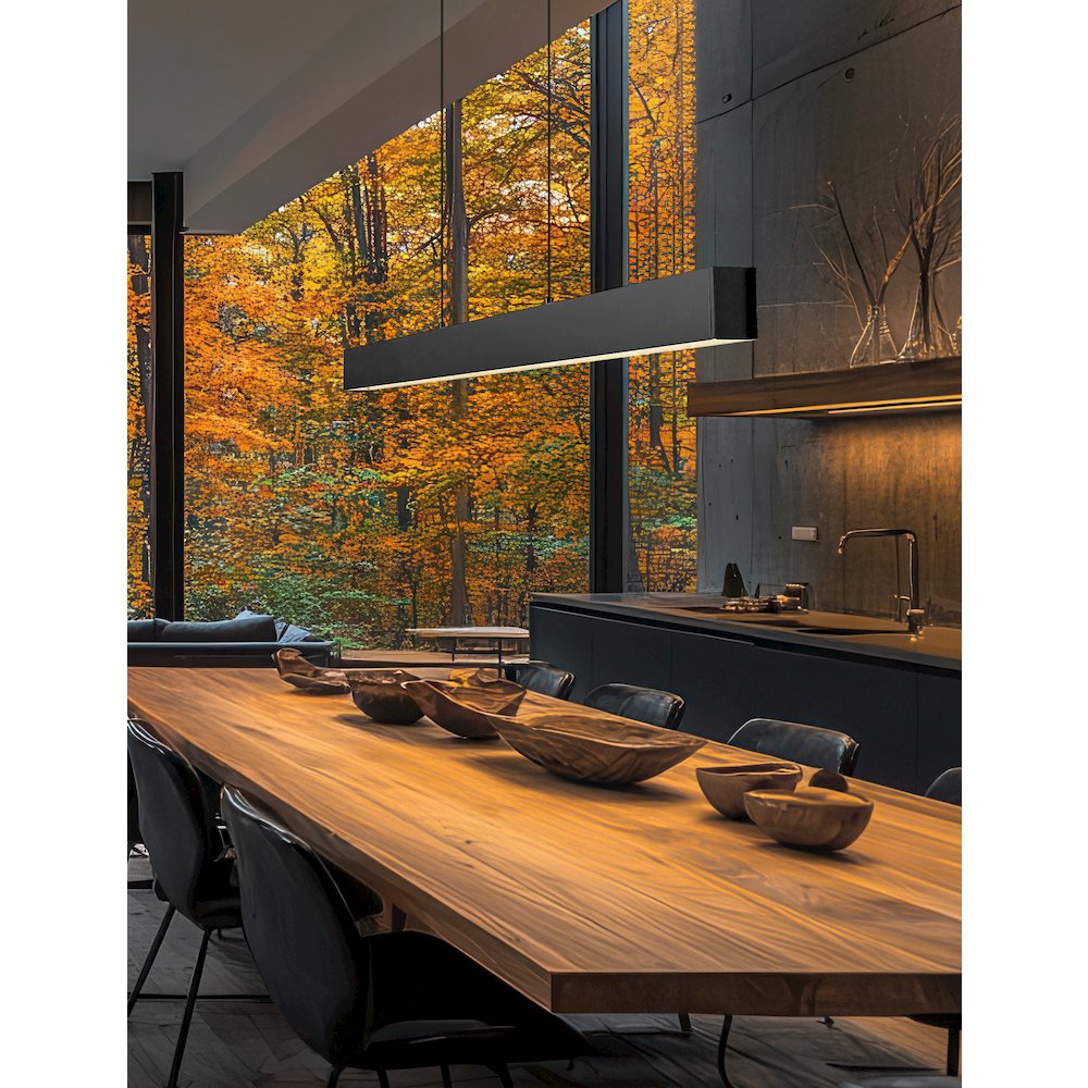 Z-Lite 1 Light Linear Chandelier, Matte Black