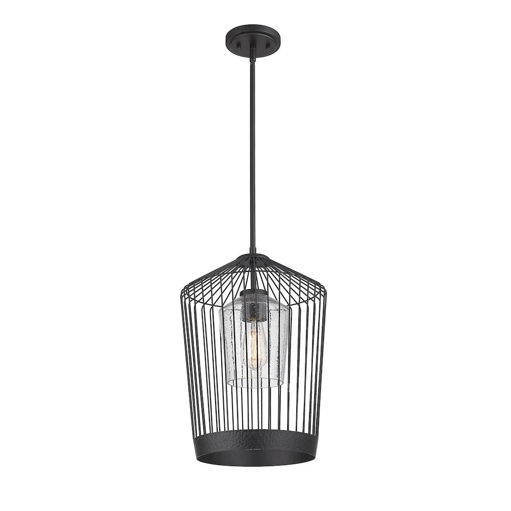 Z-Lite 1 Light Pendant