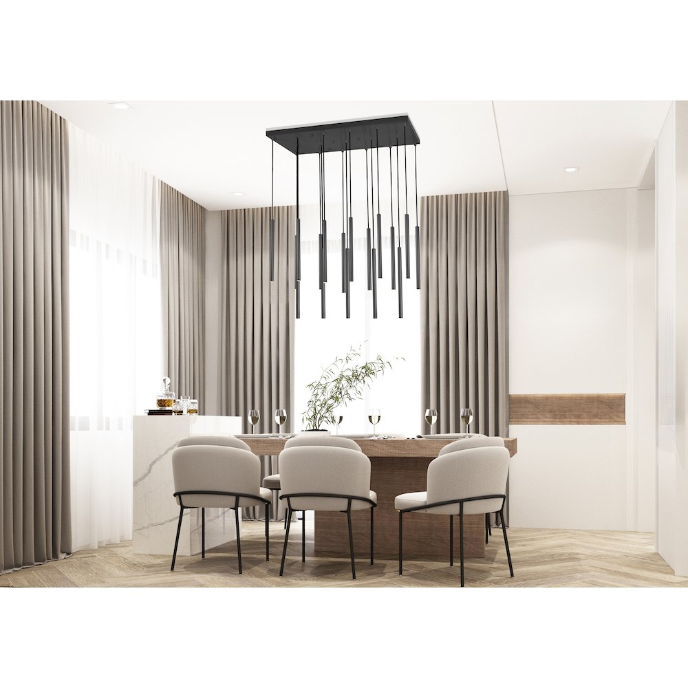 Z-Lite 17 Light Linear Chandelier