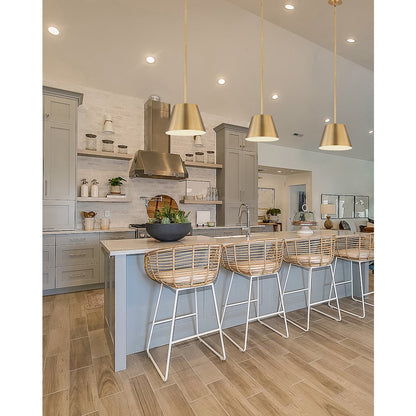 Z-Lite 1 Light Pendant