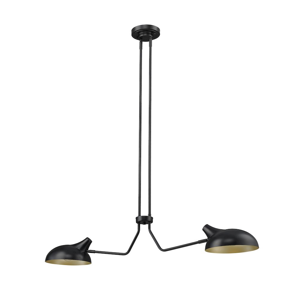 Z-Lite 2 Light Linear Chandelier