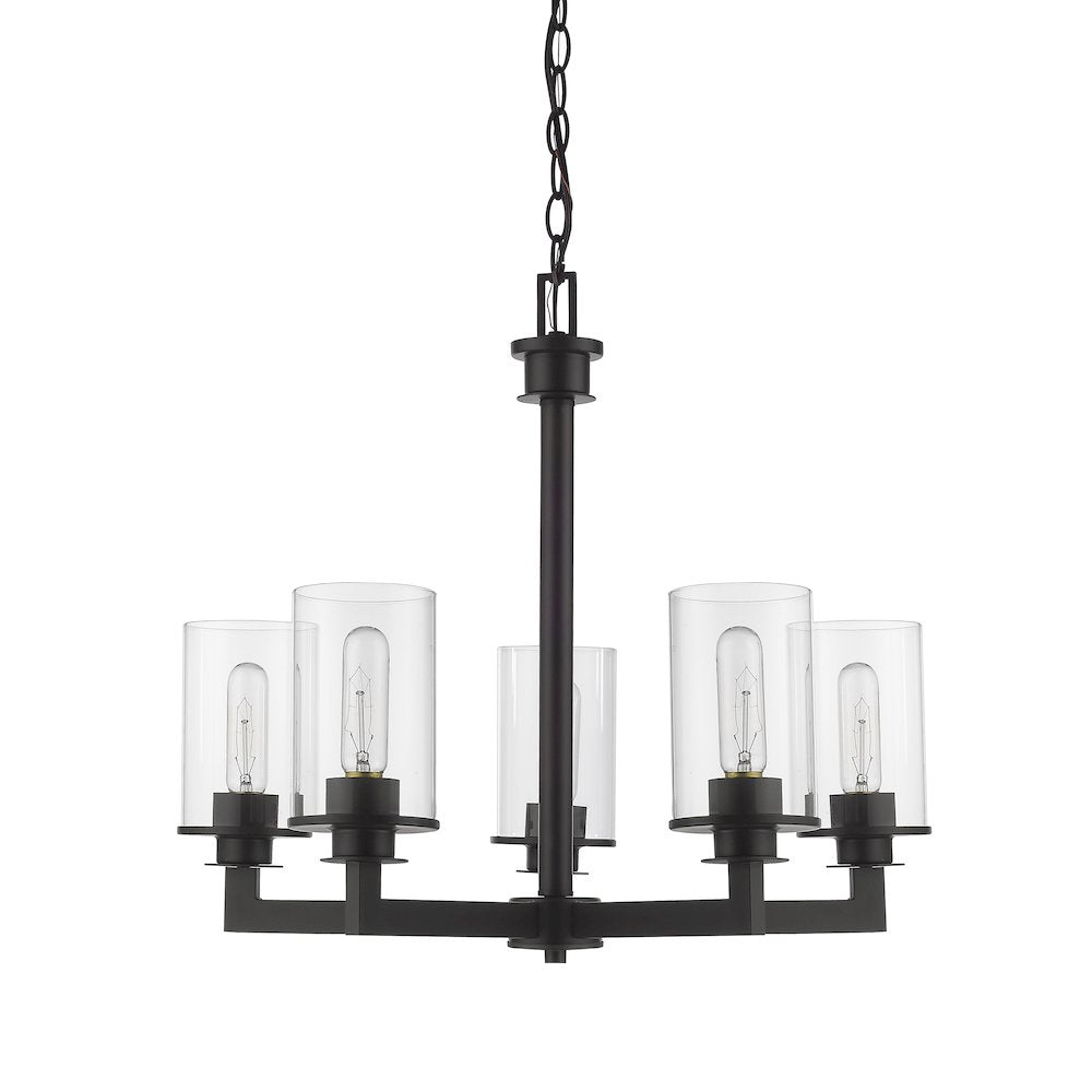 Z-Lite 5 Light Chandelier
