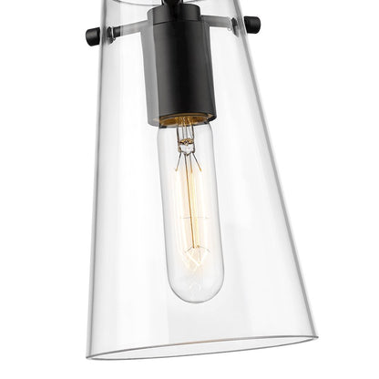 Z-Lite 1 Light Pendant