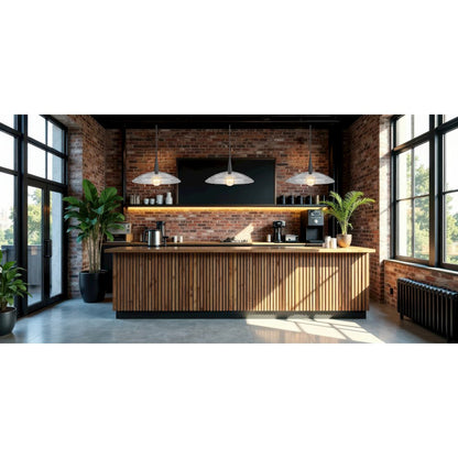 Lunelle 1 Light Matte Black Pendant