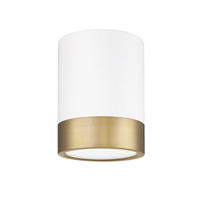 Z-Lite 1 Light Flush Mount