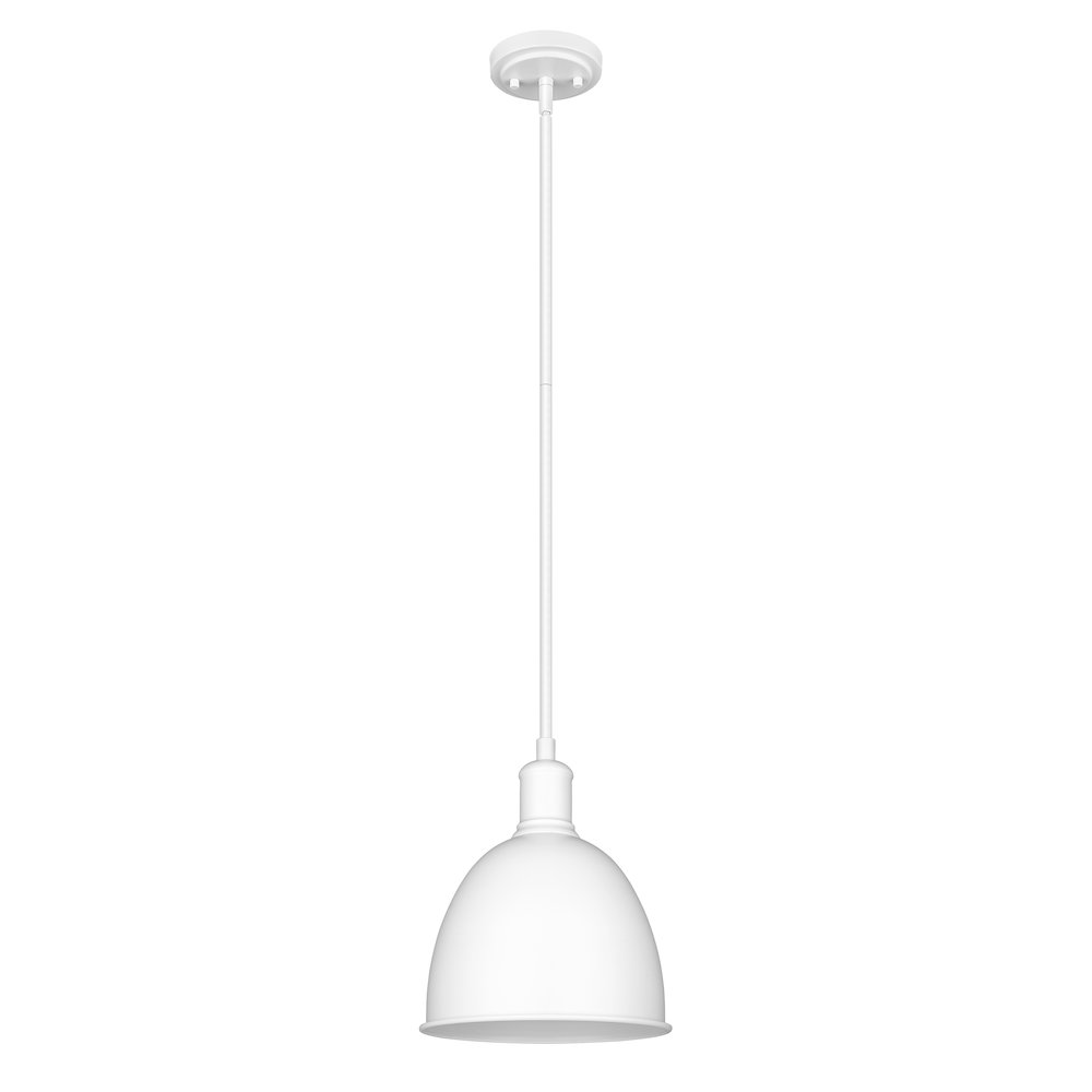 Z-Lite 1 Light Pendant