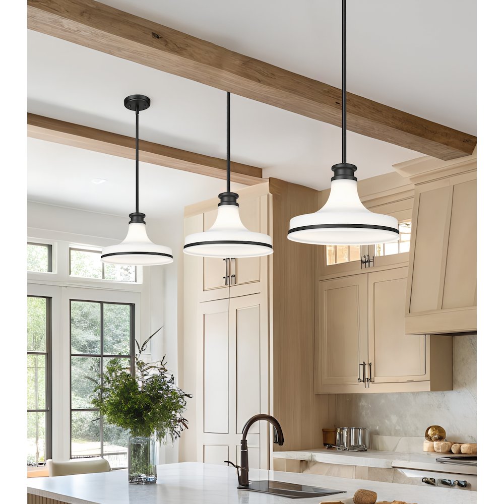 Z-Lite 1 Light Pendant, Matte Black