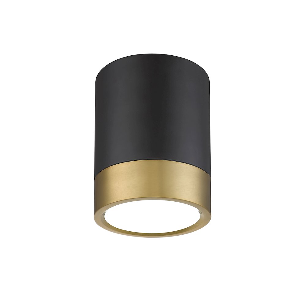 Z-Lite 1 Light Flush Mount