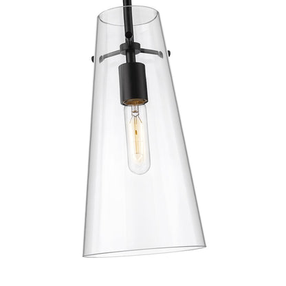 Z-Lite 1 Light Pendant