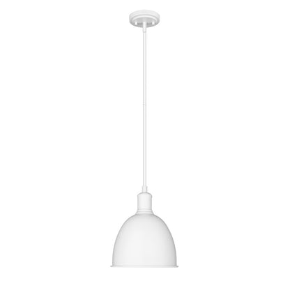 Z-Lite 1 Light Pendant