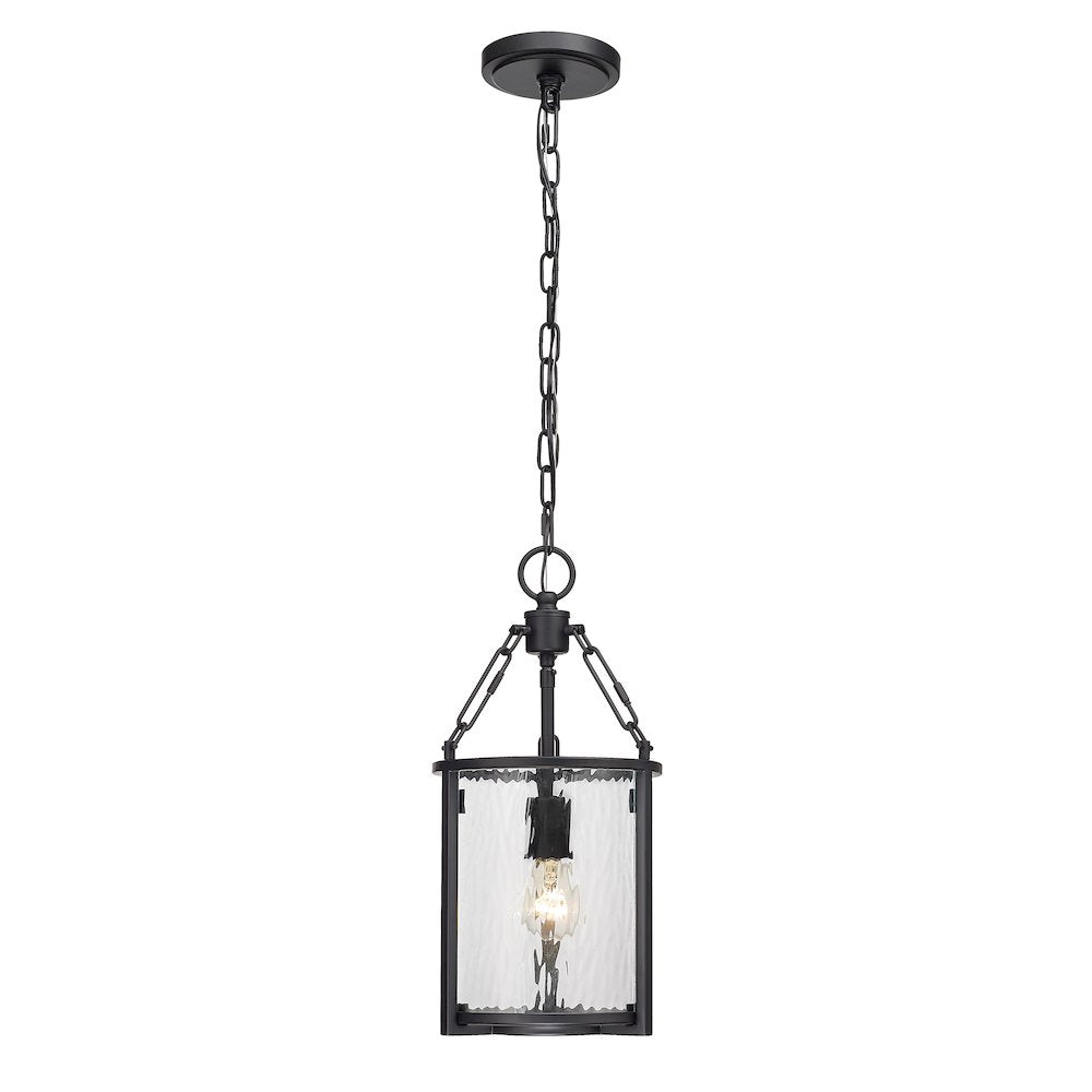 Z-Lite 1 Light Pendant