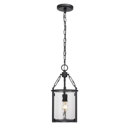 Z-Lite 1 Light Pendant