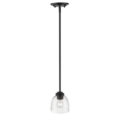 Z-Lite 1 Light Pendant