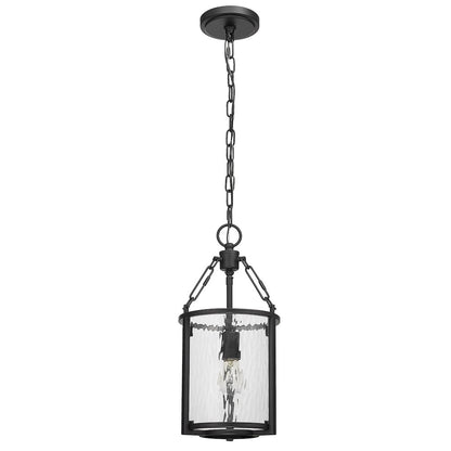 Z-Lite 1 Light Pendant