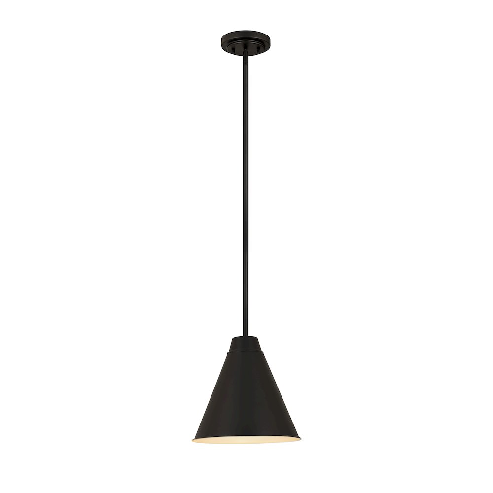 Z-Lite 1 Light Pendant