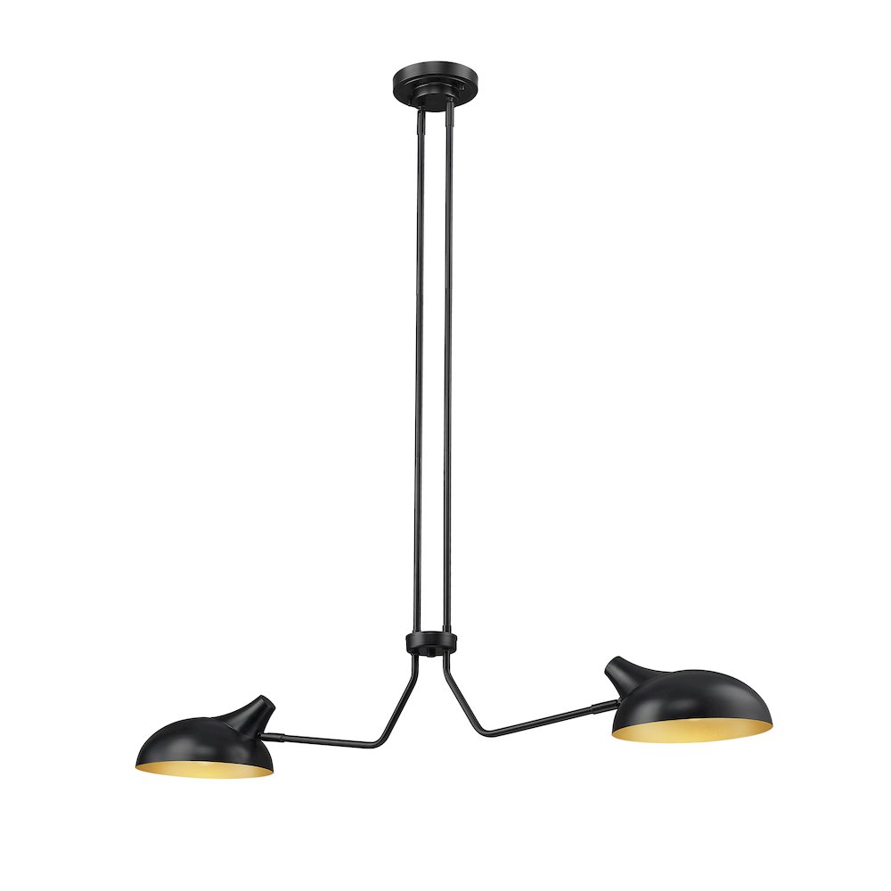 Z-Lite 2 Light Linear Chandelier