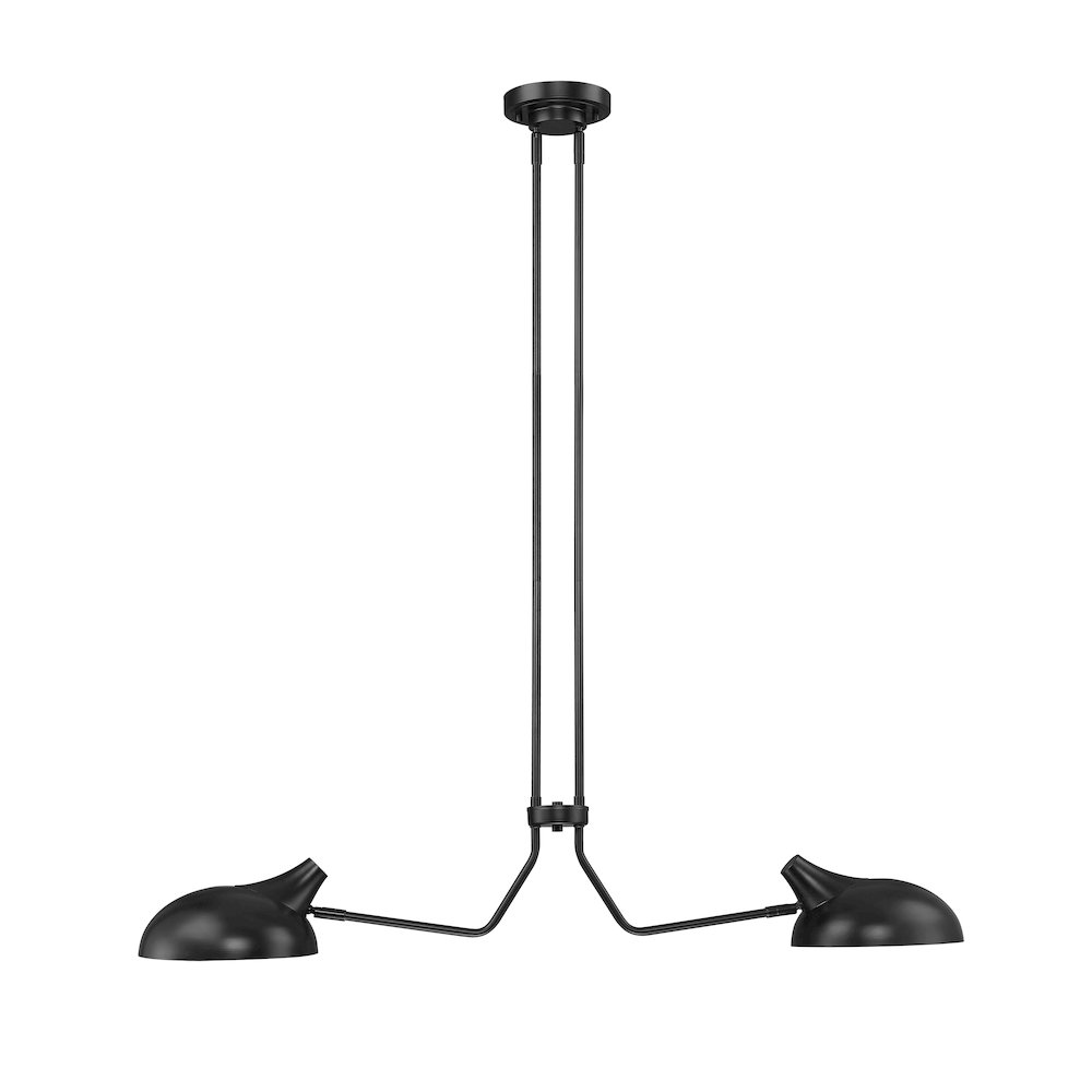 Z-Lite 2 Light Linear Chandelier