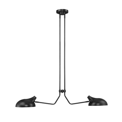 Z-Lite 2 Light Linear Chandelier