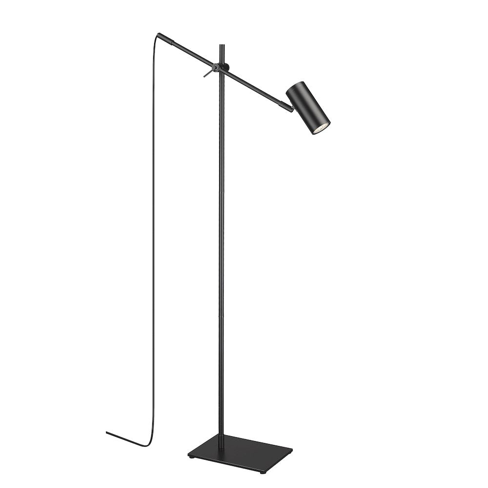 Z-Lite 1 Light Floor Lamp