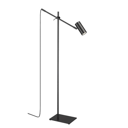 Z-Lite 1 Light Floor Lamp