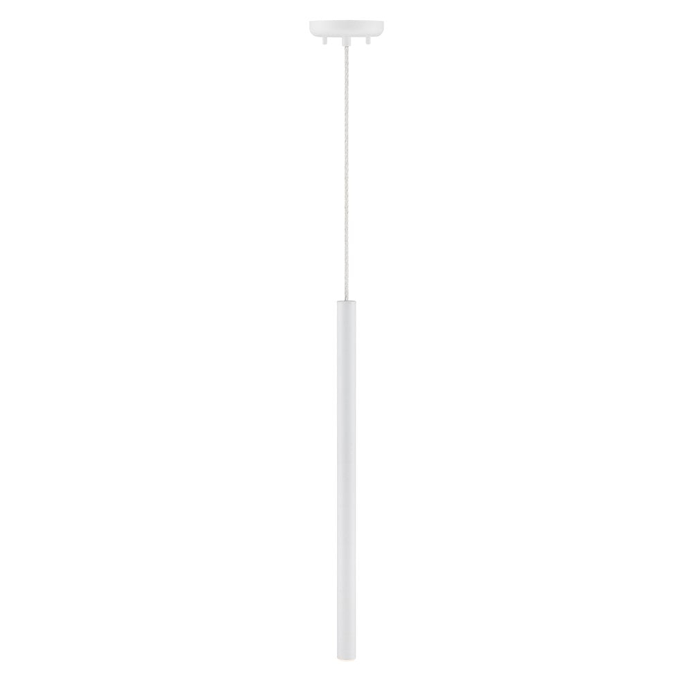 Z-Lite 1 Light Pendant