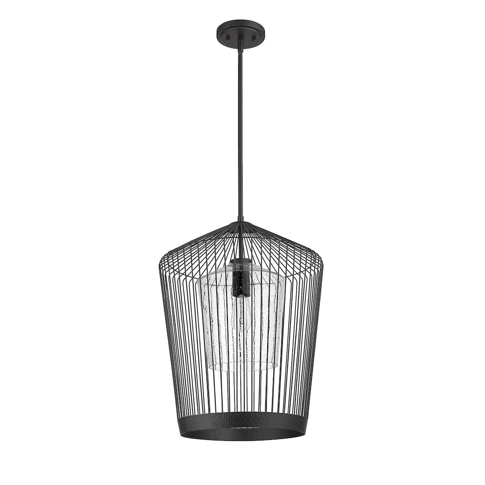 Z-Lite 1 Light Pendant