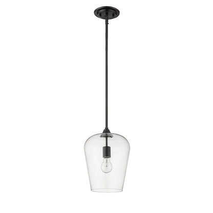 Z-Lite 1 Light Pendant