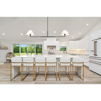Z-Lite 2 Light Chandelier