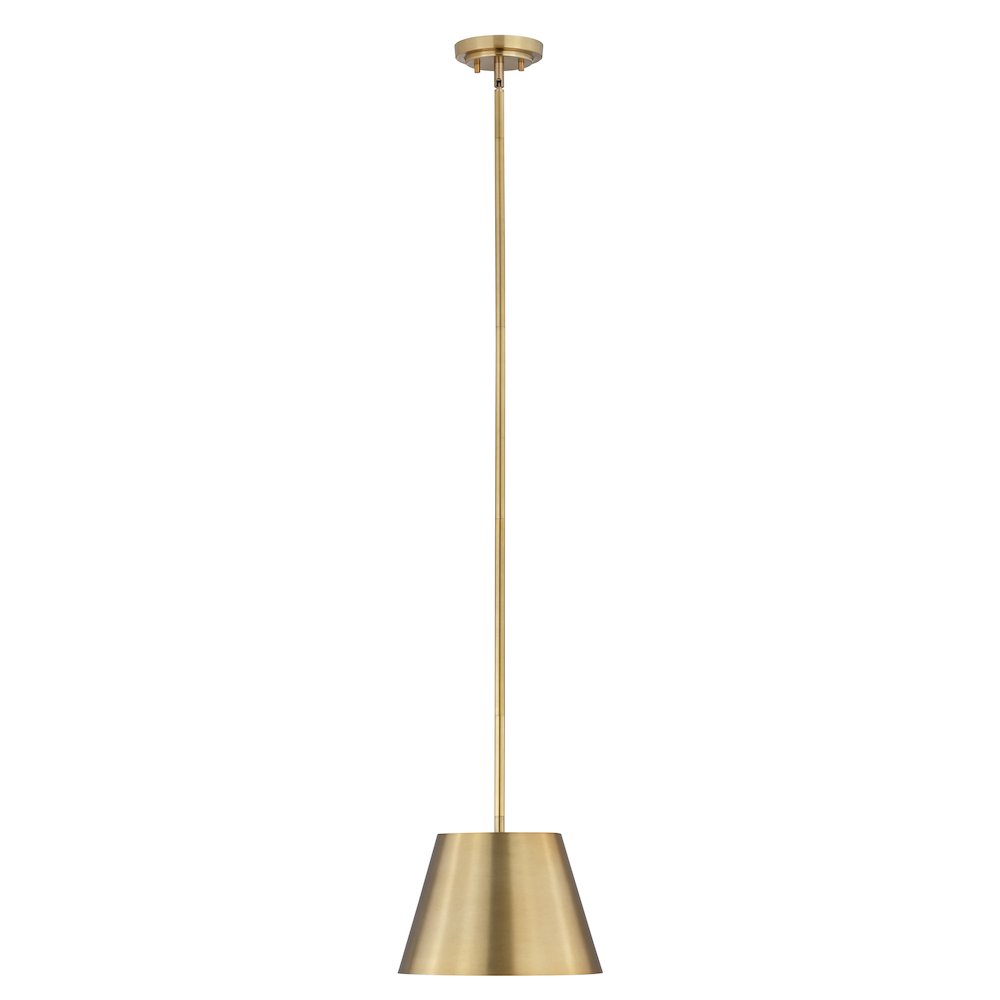 Z-Lite 1 Light Pendant