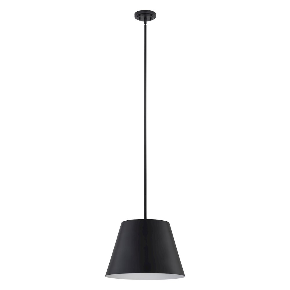 Z-Lite 1 Light Pendant