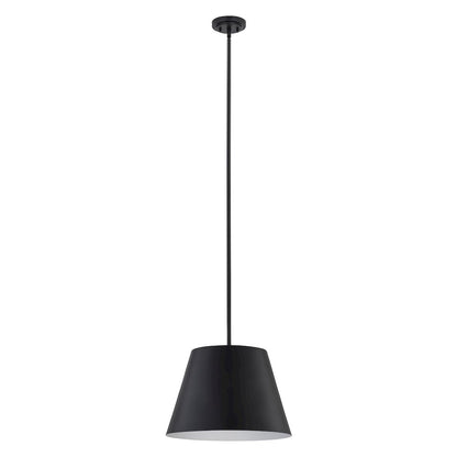Z-Lite 1 Light Pendant