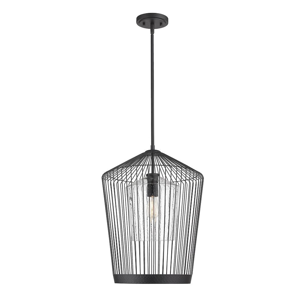 Z-Lite 1 Light Pendant