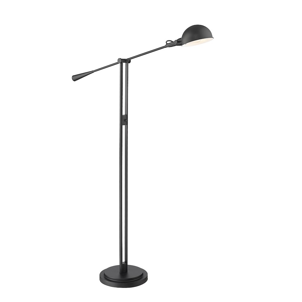 Z-Lite 1 Light Floor Lamp
