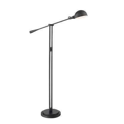 Z-Lite 1 Light Floor Lamp