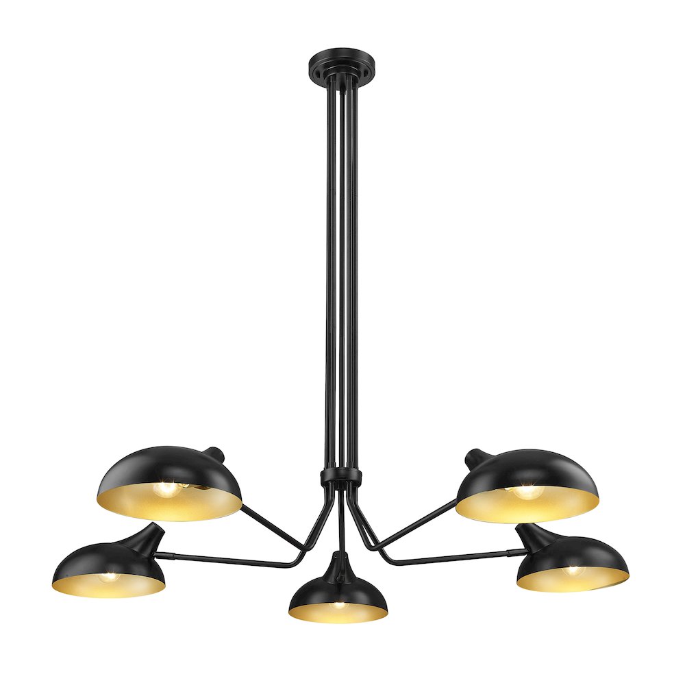 Z-Lite 5 Light Chandelier