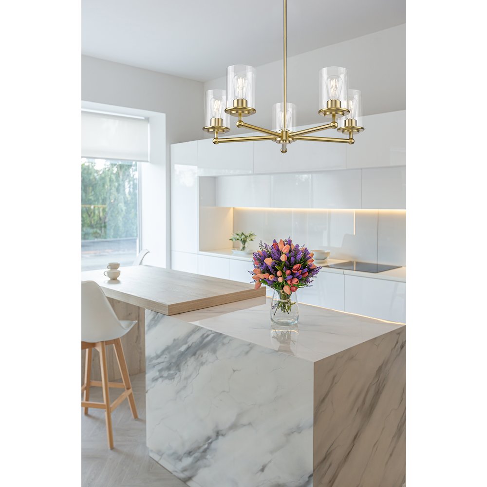 Z-Lite 5 Light Chandelier