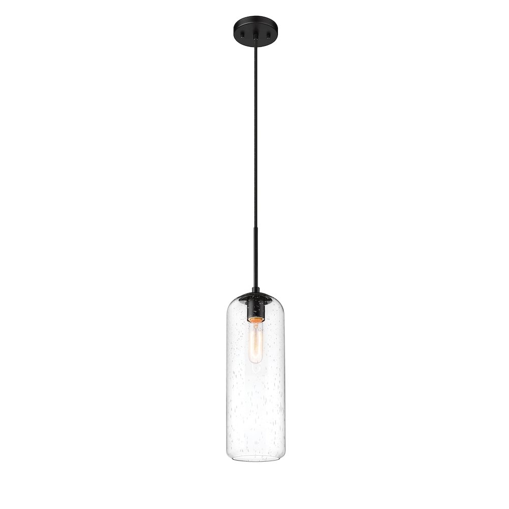 Z-Lite 1 Light Pendant