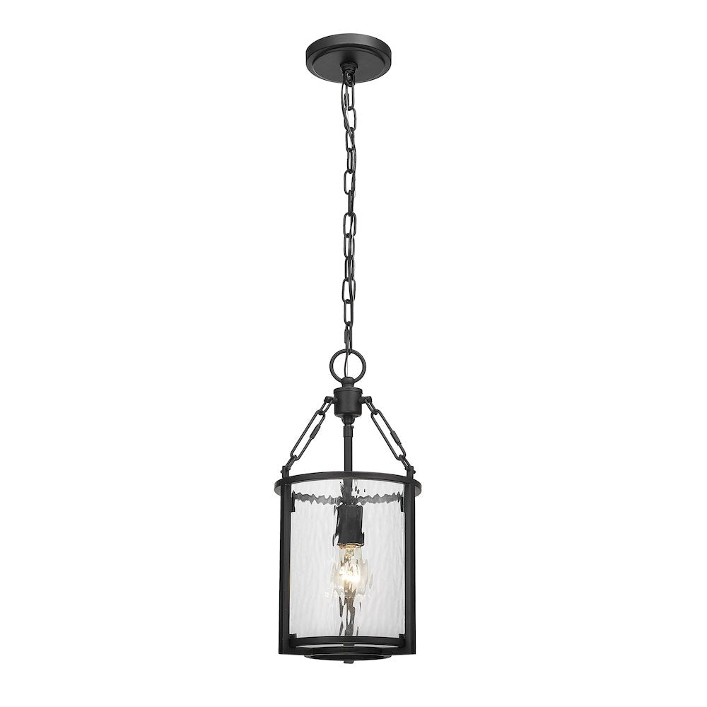 Z-Lite 1 Light Pendant