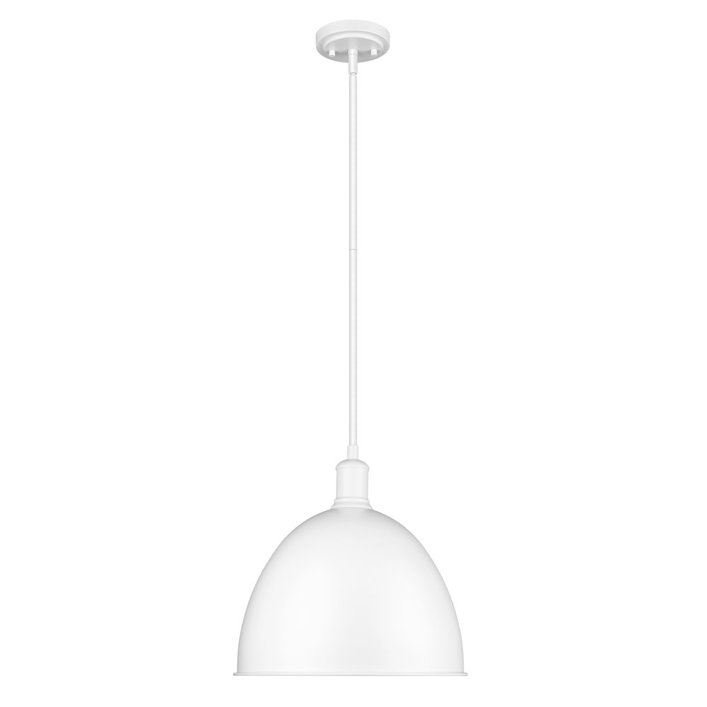 Z-Lite 1 Light Pendant