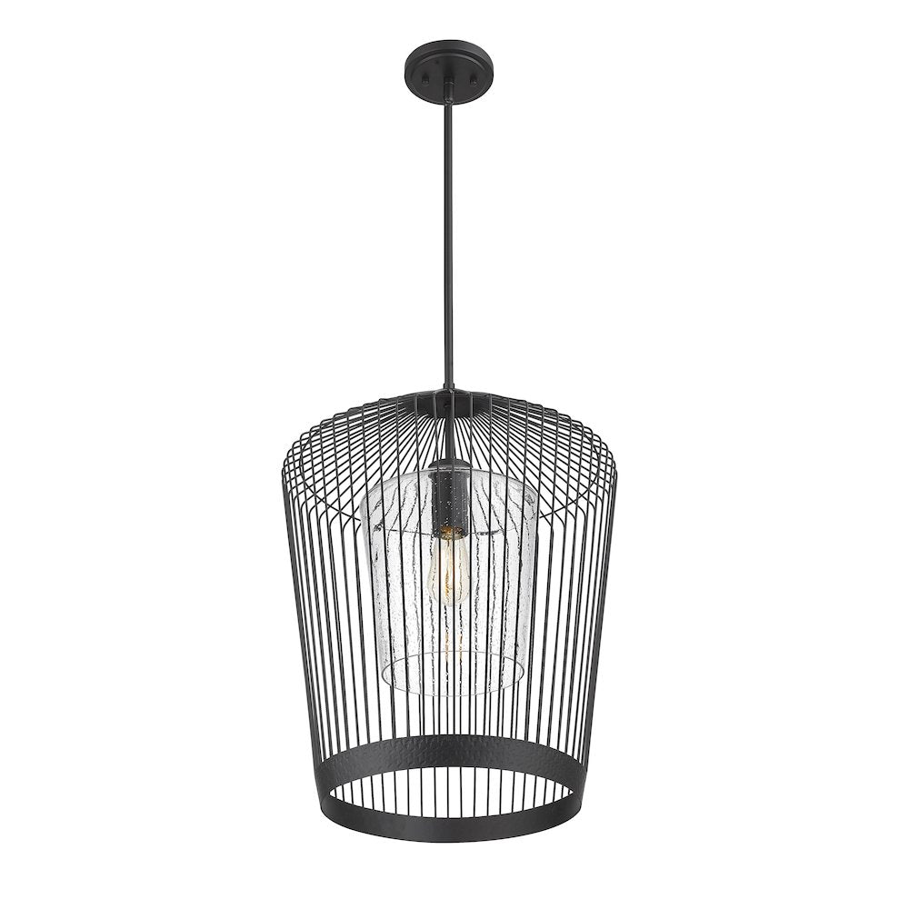 Z-Lite 1 Light Pendant