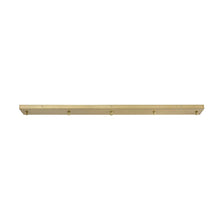 Z-Lite 5 Light Ceiling Plate