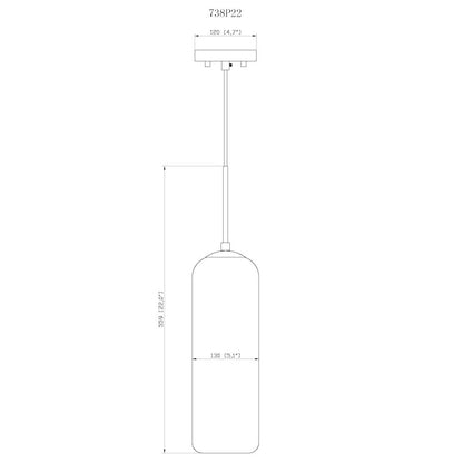 Z-Lite 1 Light Pendant