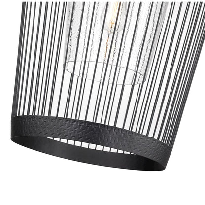 Z-Lite 1 Light Pendant