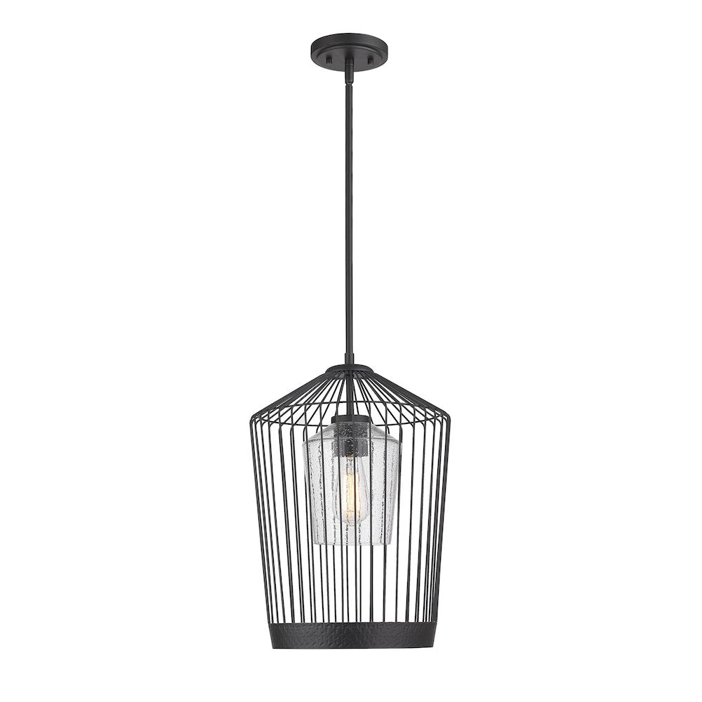 Z-Lite 1 Light Pendant